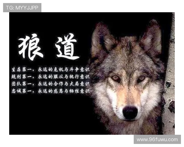 步行者与狼的较量探讨生存智慧与团队合作的重要性 步行者与狼的较量探讨生存智慧与团队合作的重要性